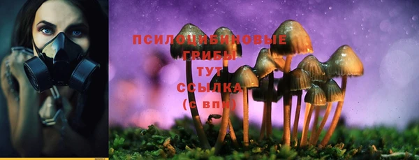 ПСИЛОЦИБИНОВЫЕ ГРИБЫ Алзамай