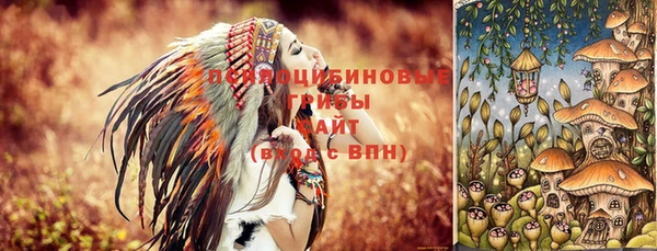 ПСИЛОЦИБИНОВЫЕ ГРИБЫ Алзамай