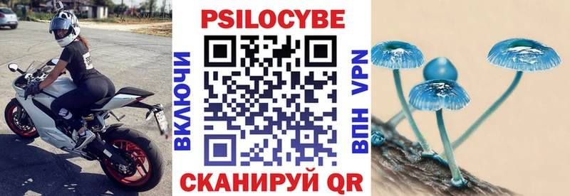 Псилоцибиновые грибы мицелий  Сасово 