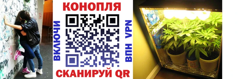МАРИХУАНА OG Kush  где найти   Сасово 